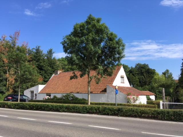Albatros Bed & Breakfast Koksijde Luaran gambar